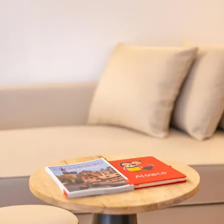 Apartman De Charme Coeur Petite France *